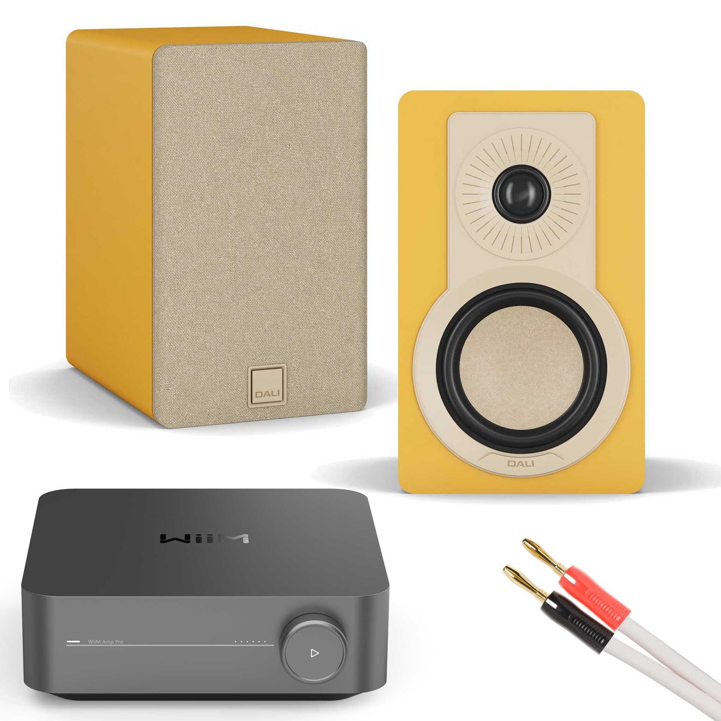 WiiM Amp Pro with Dali Kupid Golden Yellow