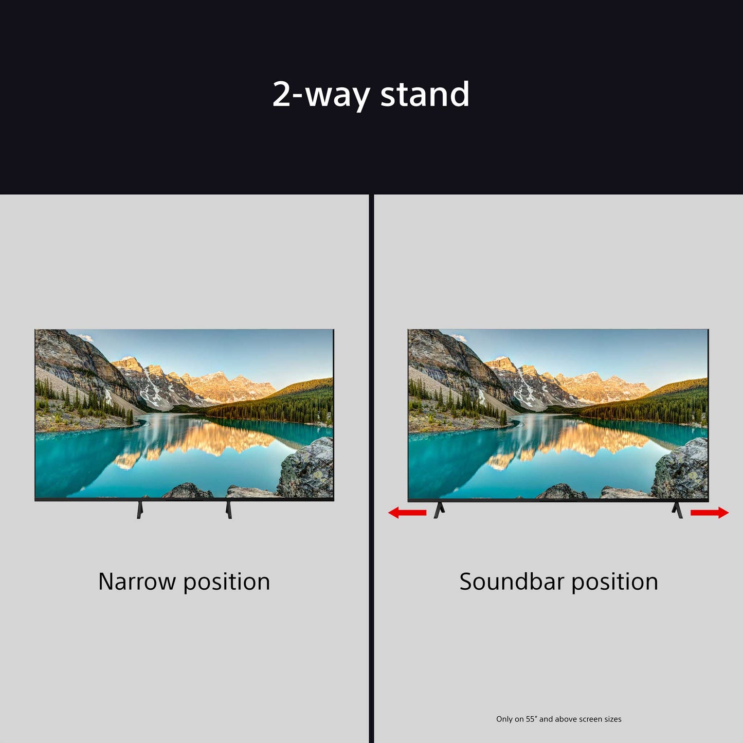Sony BRAVIA 3 2-Way Stand