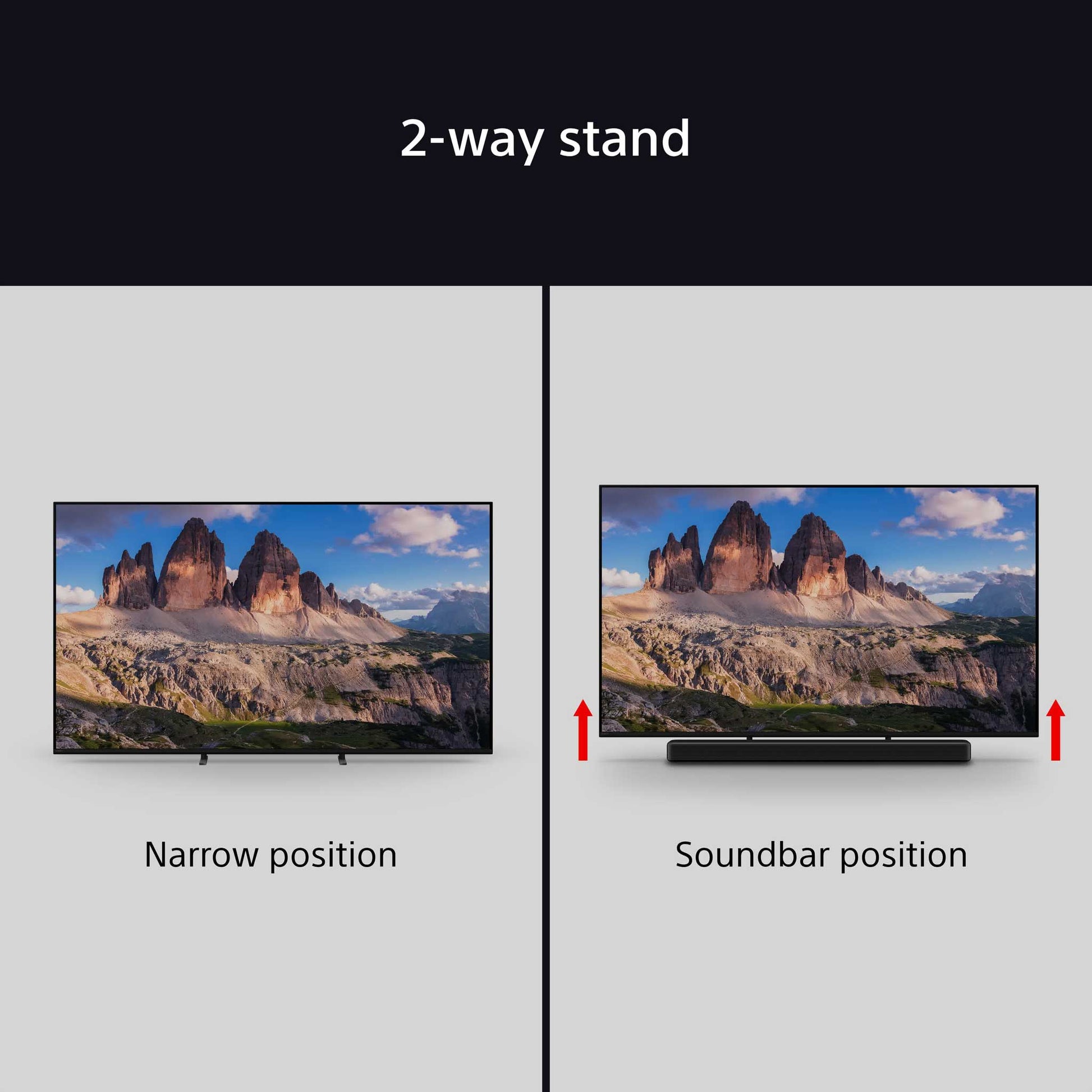 Sony BRAVIA 5 2-way Stand