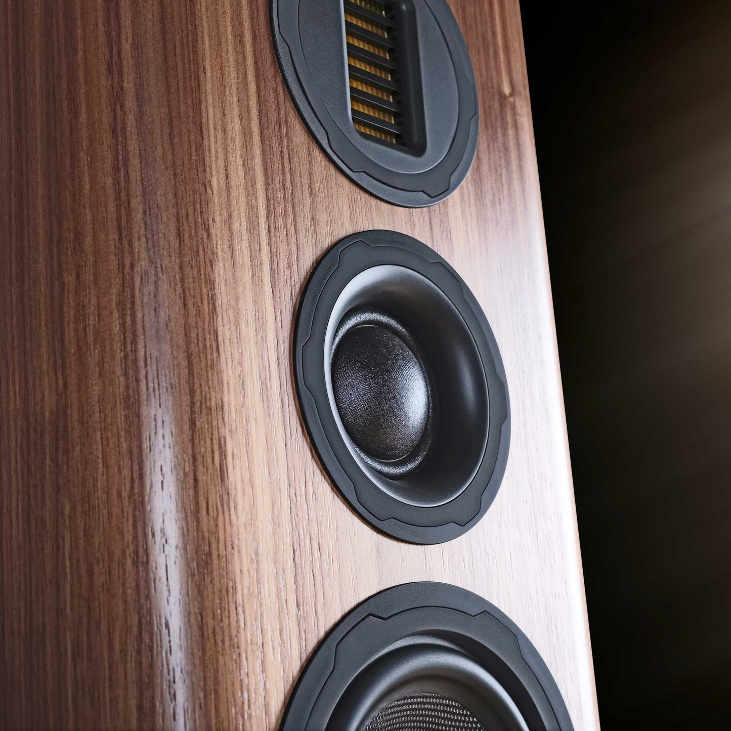 Wharfedale Evo 5.3 Detail