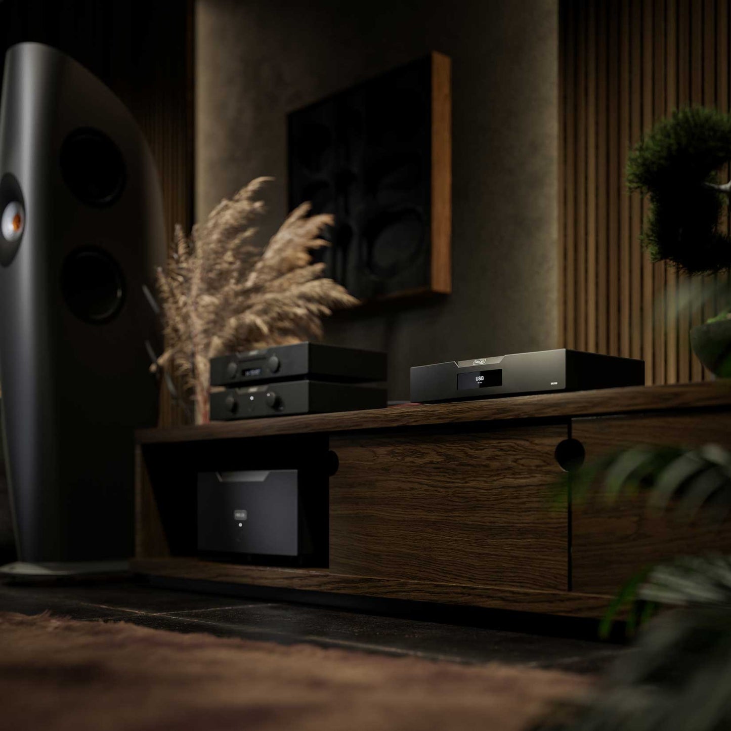 Hegel D50 DAC System