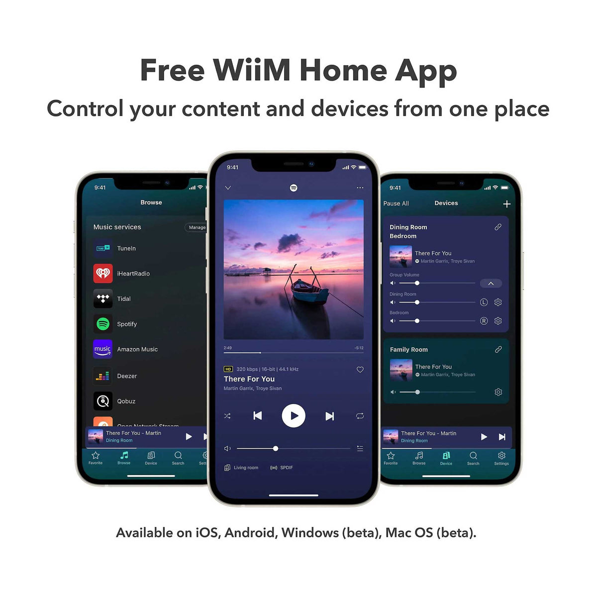 WiiM Pro Music Streamer Free App