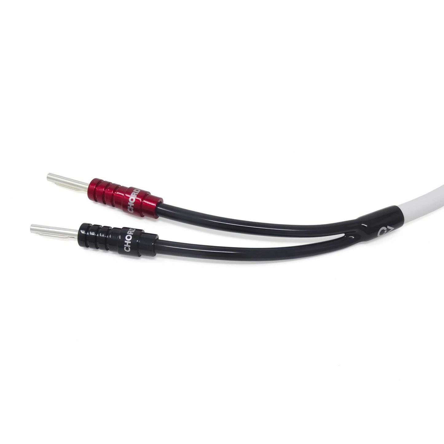 Chord C-screenX Detail