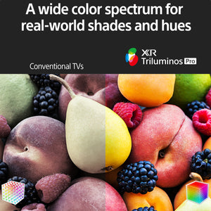 Sony BRAVIA XR50X90S Triluminos Pro