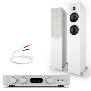 Audiolab 6000A MKII Silver with Acoustic Energy AE309² White