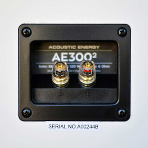 Acoustic Energy AE300² Speaker Cable Terminals