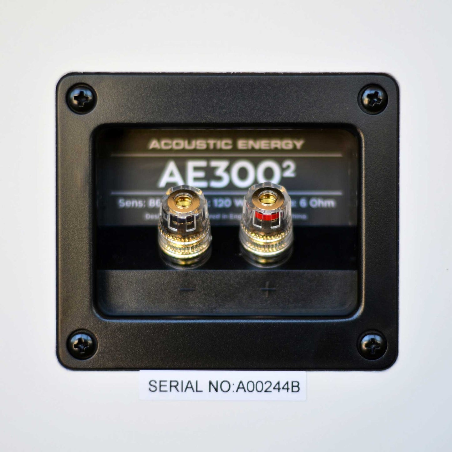 Acoustic Energy AE300² Speaker Cable Terminals