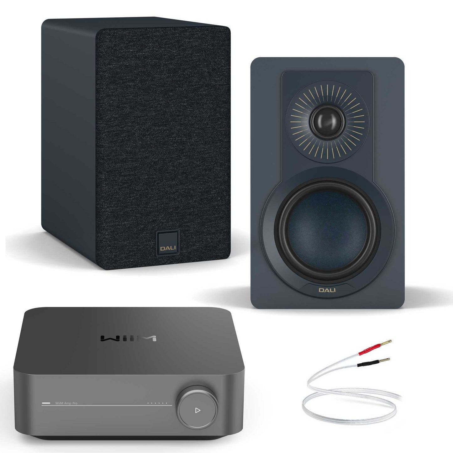WiiM Amp Pro with Dali Kupid Chilly Blue