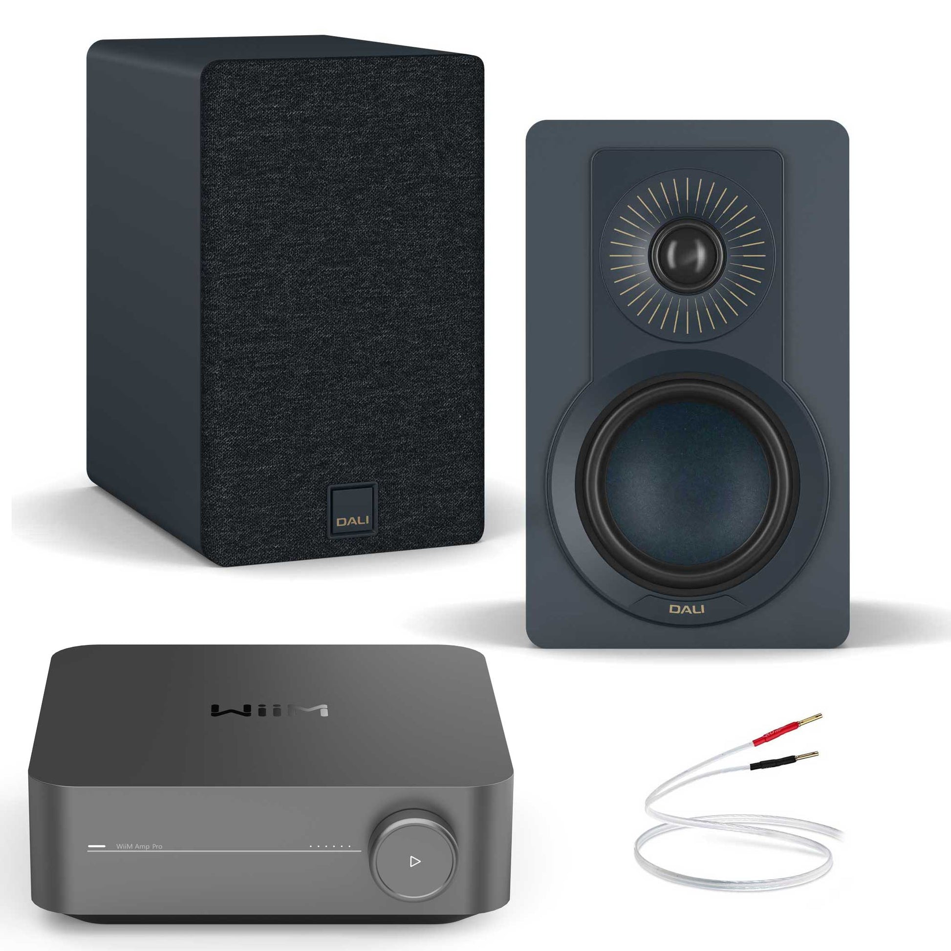 WiiM Amp Pro with Dali Kupid Chilly Blue