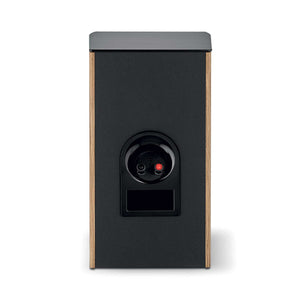 Focal Aria Evo X N°1  Prime Walnut Rear View