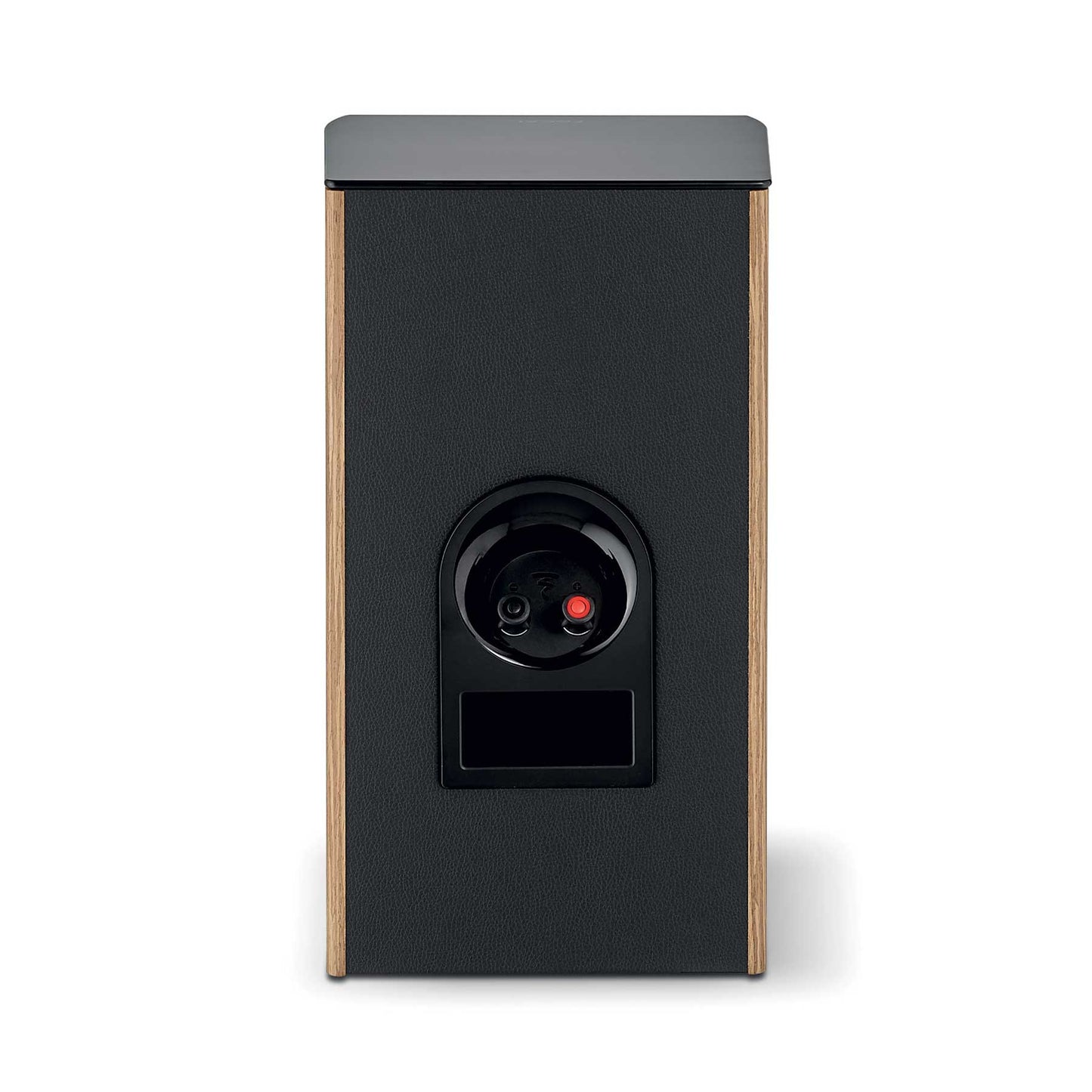 Focal Aria Evo X N°1  Prime Walnut Rear View