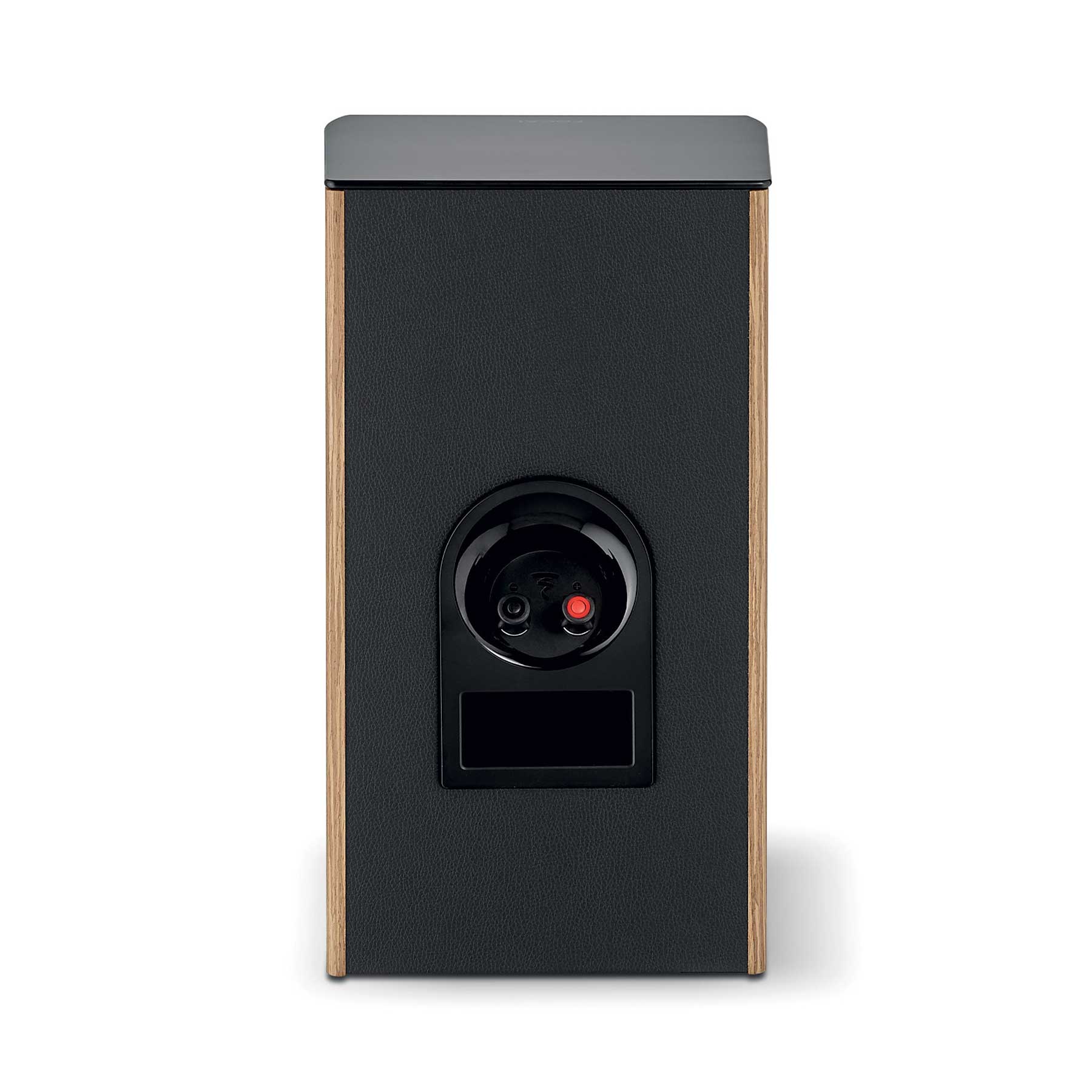 Focal Aria Evo X N°1  Prime Walnut Rear View