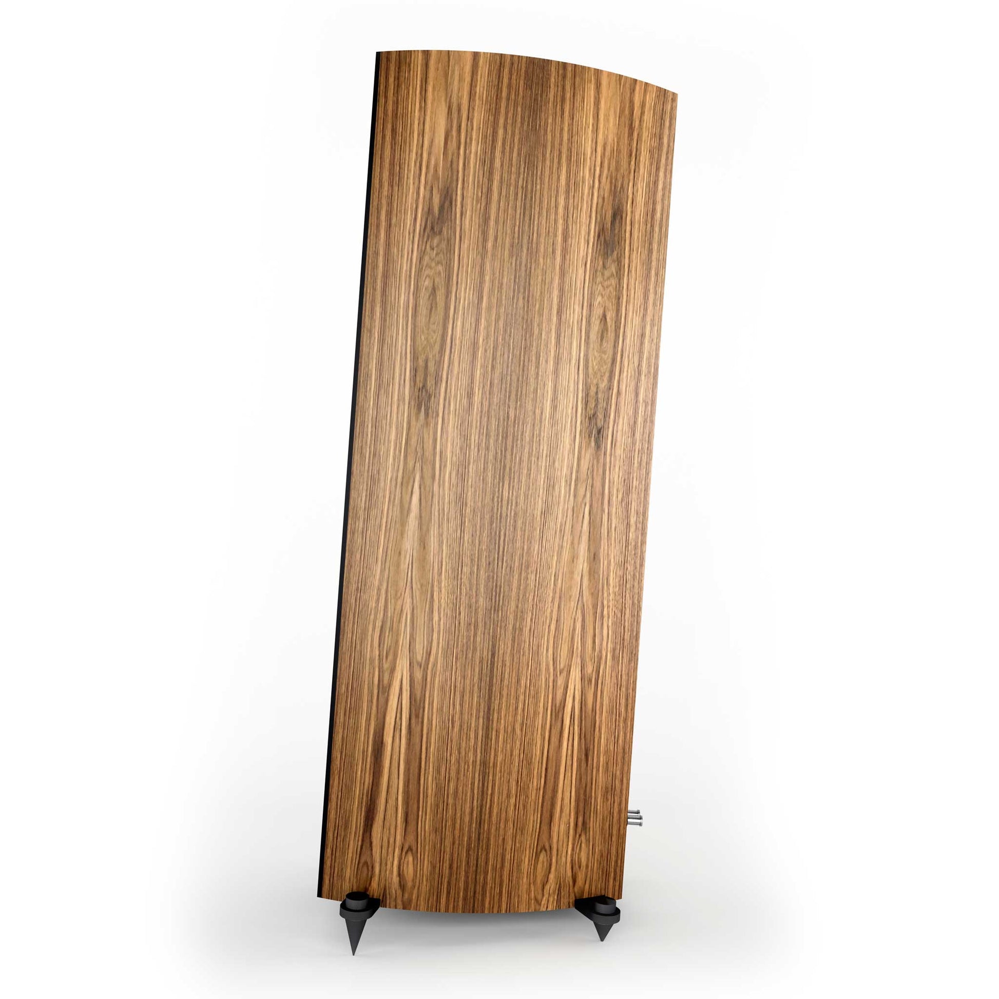 Acoustic Energy Corinium Tectona Side View