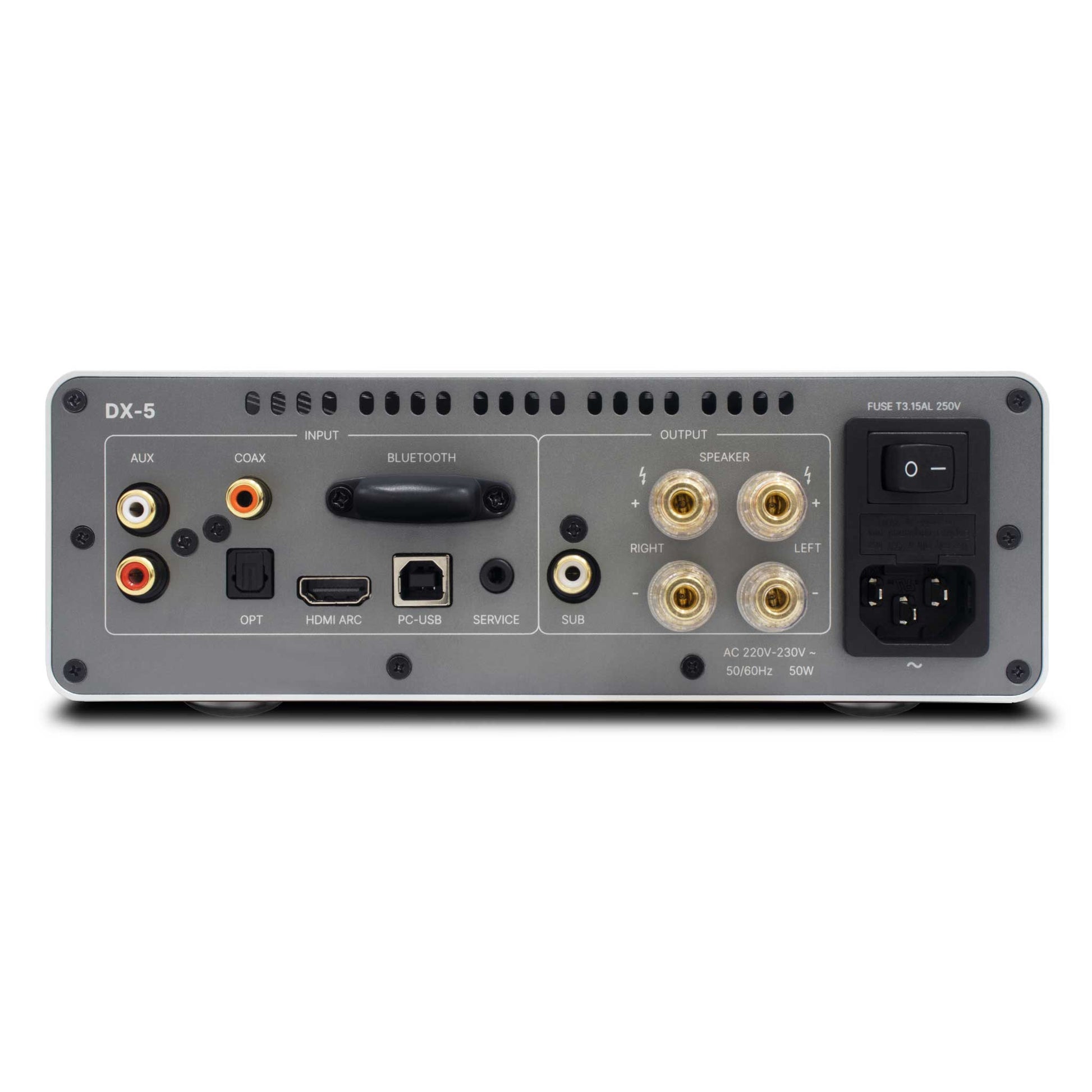 Rotel DX-5 Silver Rear View