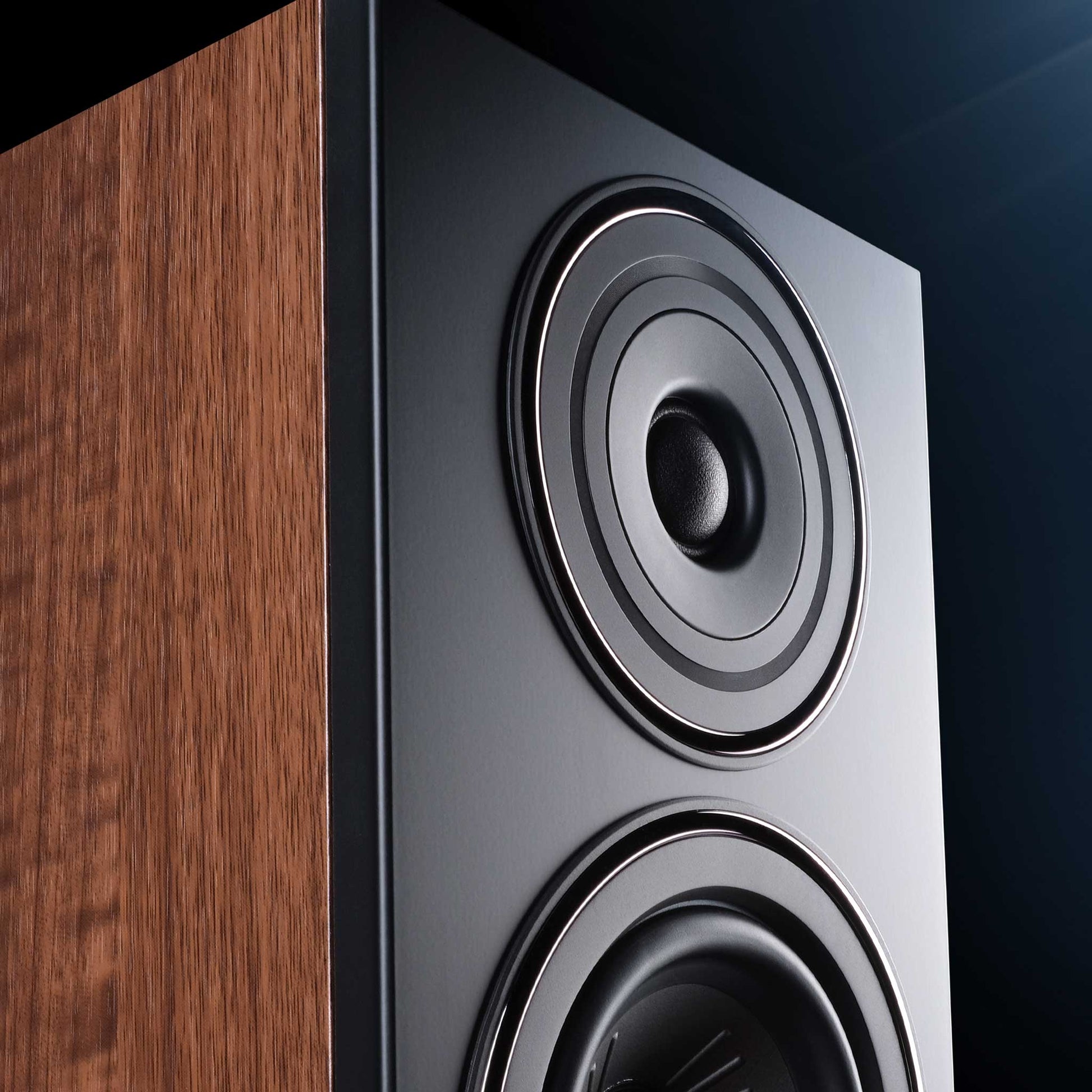Wharfedale Diamond 12.2i Walnut Tweeter Detail