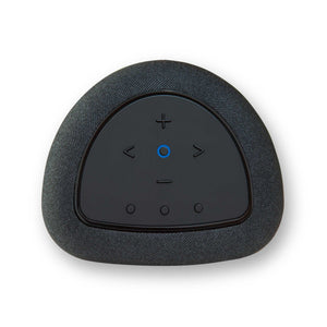 Bluesound Pulse Flex P130 Black Top View