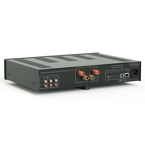 Hegel H95 Integrated Amplifier Rear Angled View