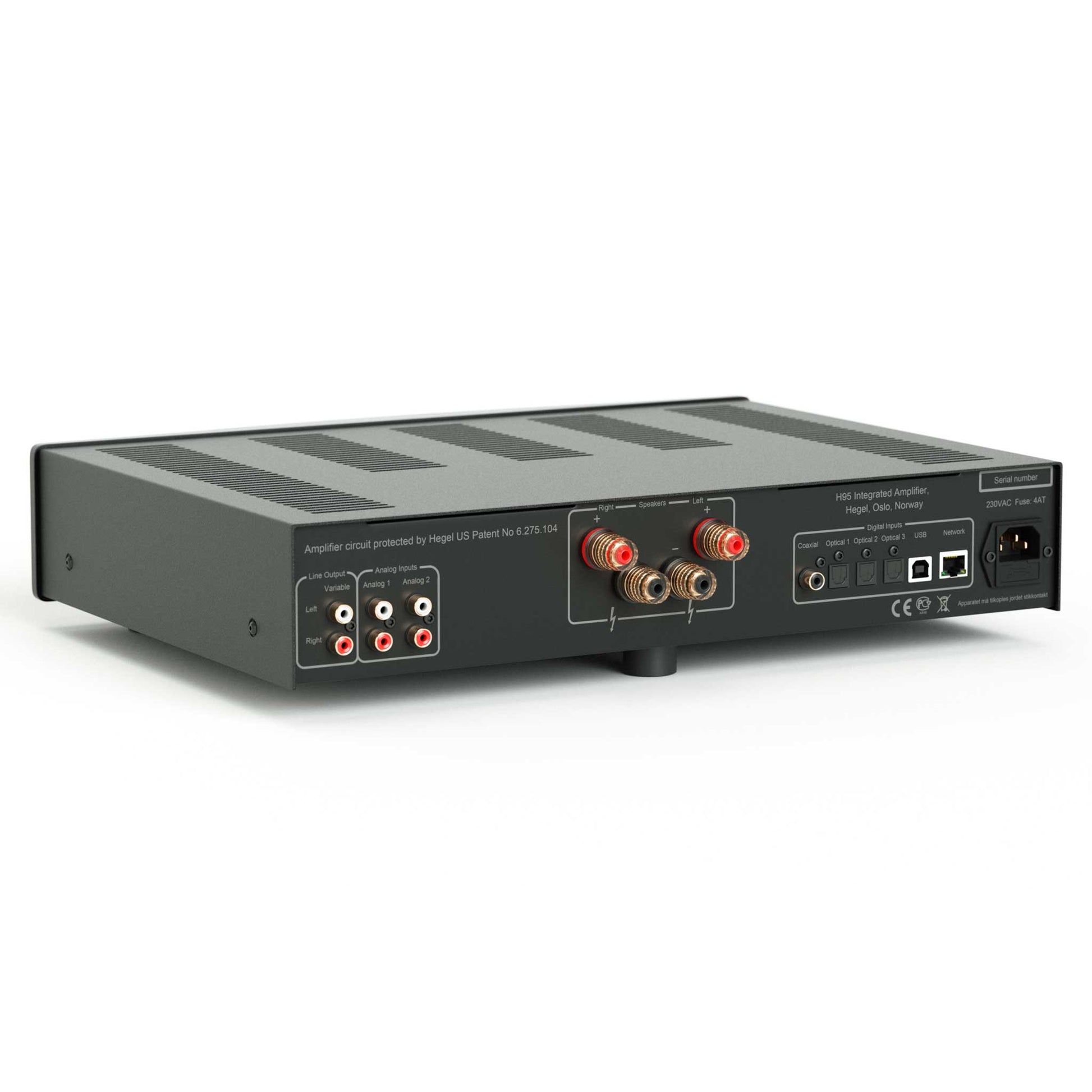Hegel H95 Integrated Amplifier Rear Angled View