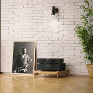 Hegel P20 Preamplifier with H20 Power Amplifier