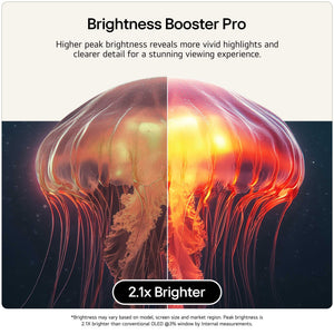 LG OLED48G66LS Brightness Booster Pro