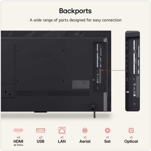 LG OLED42C66LB Inputs