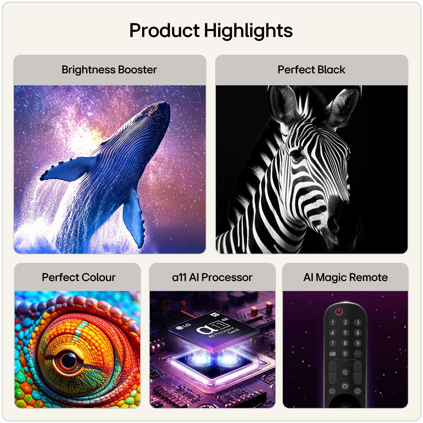 LG OLED42C66LB Key Features