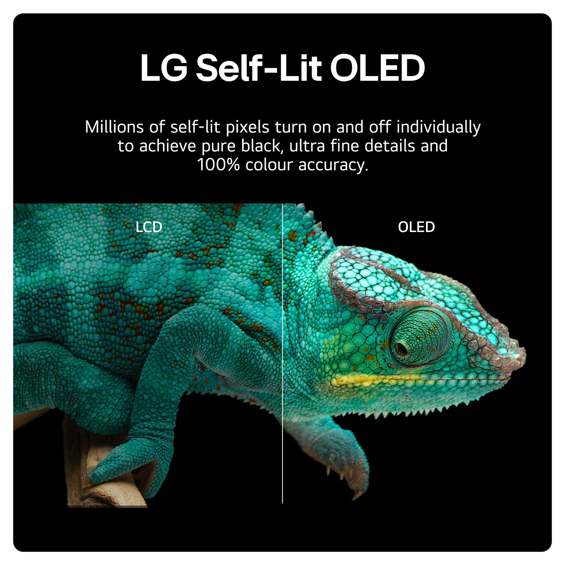 LG OLED48B46LA Self Lit Pixels