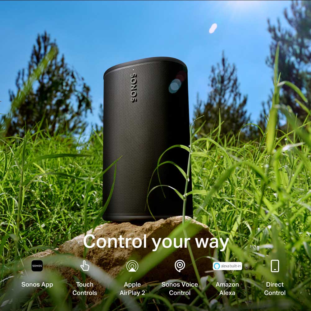Sonos Play Control Options
