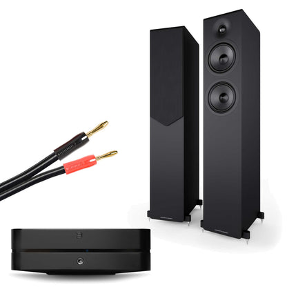 Bluesound Powernode (N331) Black with Acoustic Energy AE309² Matte Black