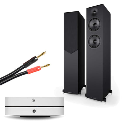 Bluesound Powernode (N331) White with Acoustic Energy AE309² Matte Black