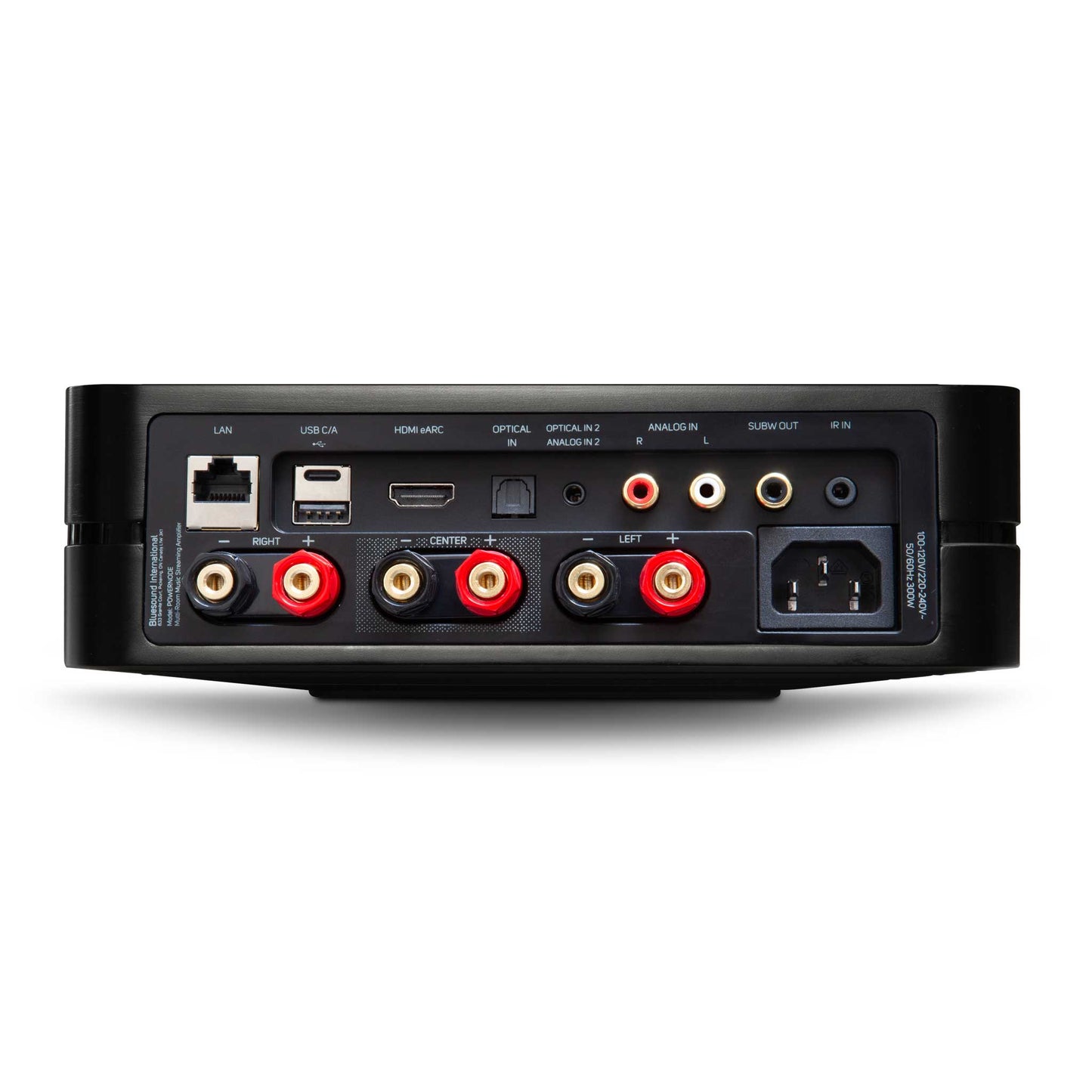 Bluesound Powernode Rear View