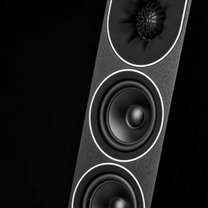 PMC Prophecy 9 Blackened Walnut Detail