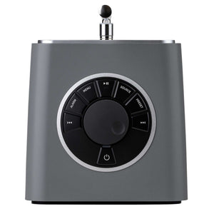 Ruark Audio R1S Top