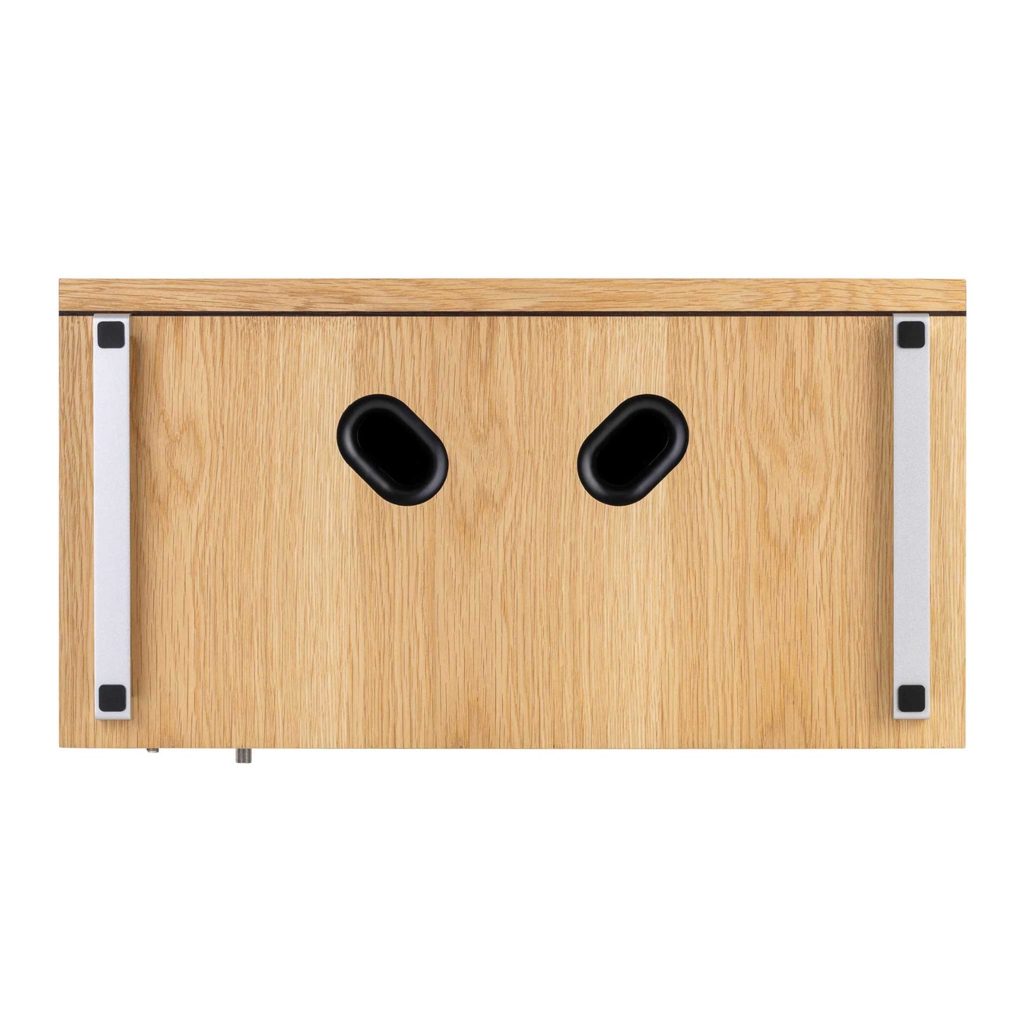 Ruark Audio R410 Anniversary Edition Underneath