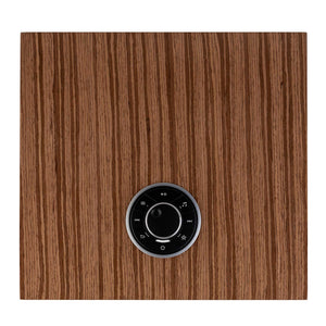Ruark Audio R610 Walnut Top View