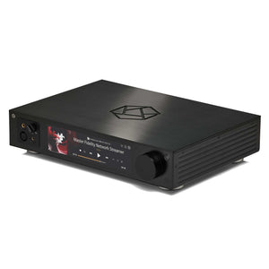 HiFi Rose RS451 Black Angled View