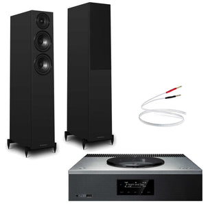 Technics SA-C600 Silver with Warfedale Diamond 12.3i Black