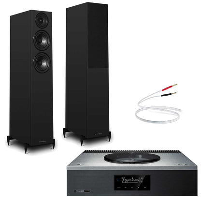Technics SA-C600 Silver with Warfedale Diamond 12.3i Black