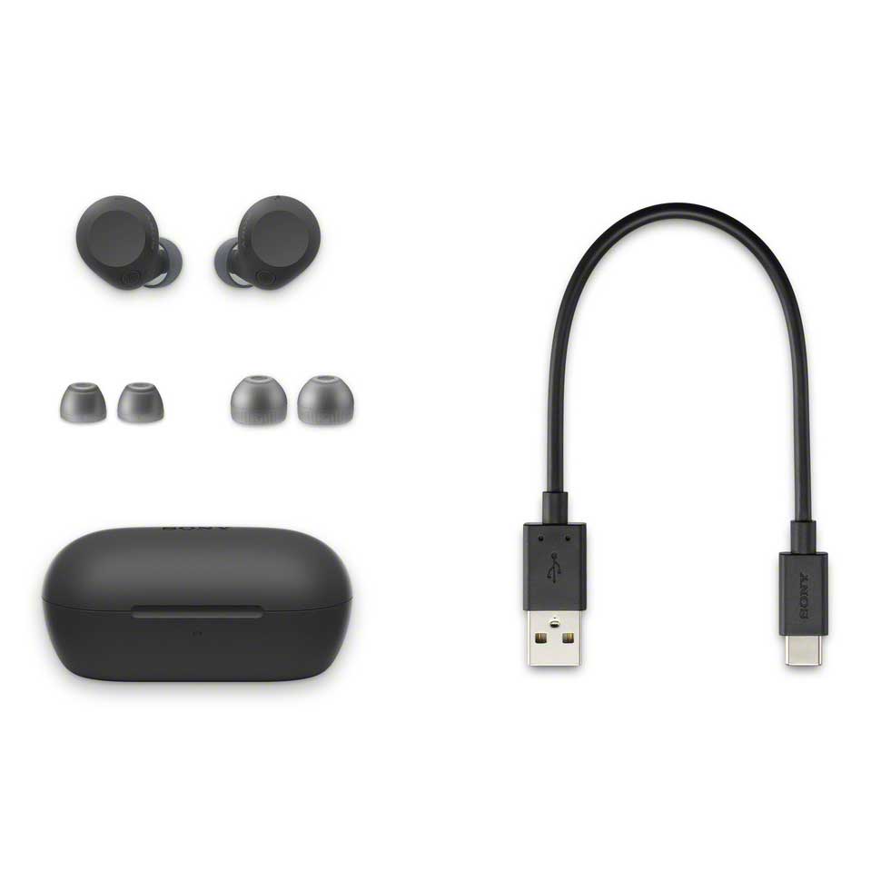Sony WF-C710N Black Accessories