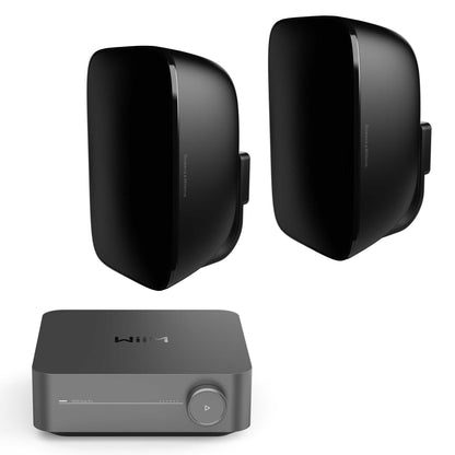 WiiM Amp Pro Outdoor Set with Bowers & Wilkins AM1 Black