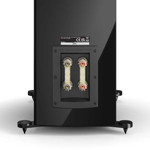 Dali Rubikore 8 Speaker Terminals