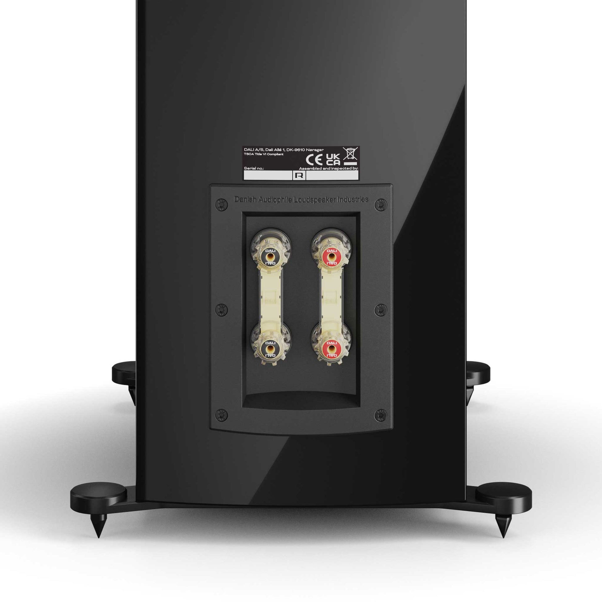 Dali Rubikore 8 Speaker Terminals