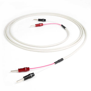 Chord RumourX Pre-Terminated Speaker Cable