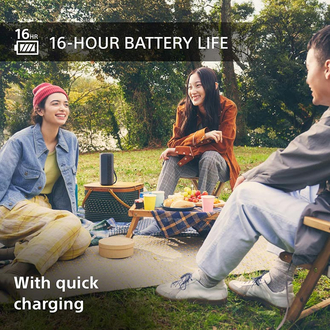 Sony SRS-XE200 Bluetooth Portable Speaker Light Grey 16 Hour Battery Life